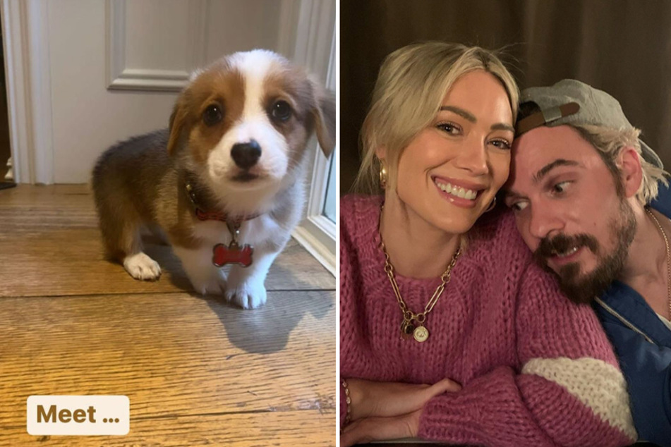 Hilary Duff delights with canine surprise and comical Christmas card!