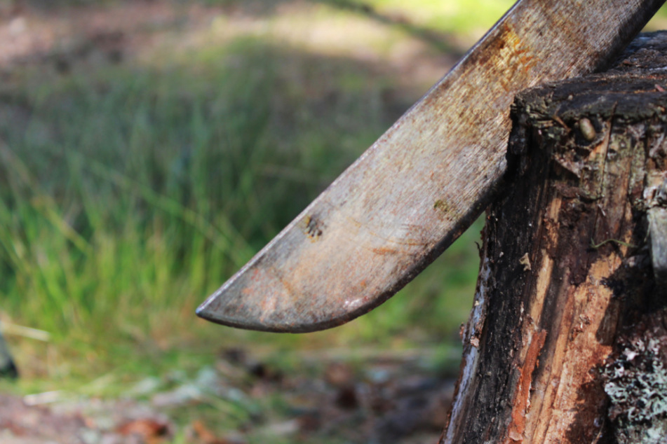 Suspected Islamist militants have beheaded more than 50 people (stock image).