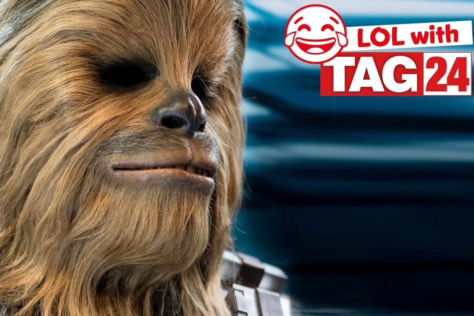 Joke of the Day for May 4, 2026: A Star Wars Day funny.