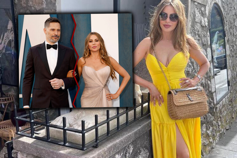 Is Sofía Vergara single again after more than seven years of marriage?
