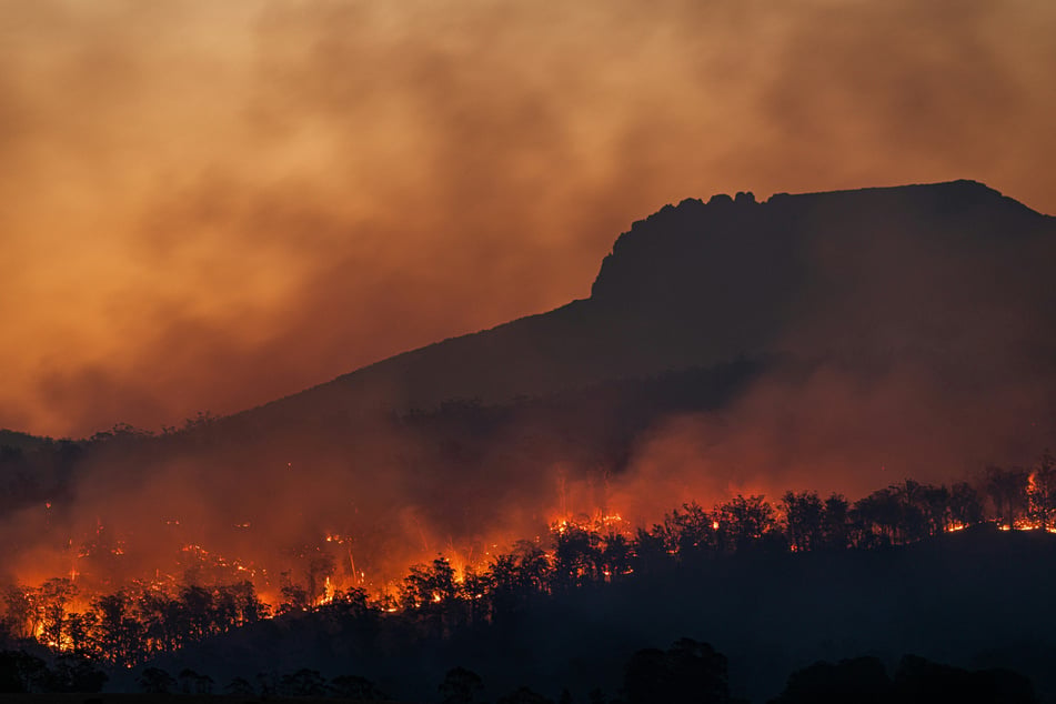 High temperatures and strong winds have led to a dangerous fire season (file photo).