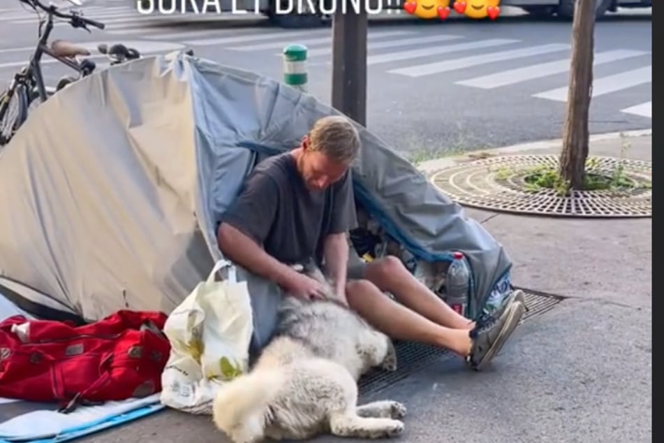 Bruno and the husky became good friends.