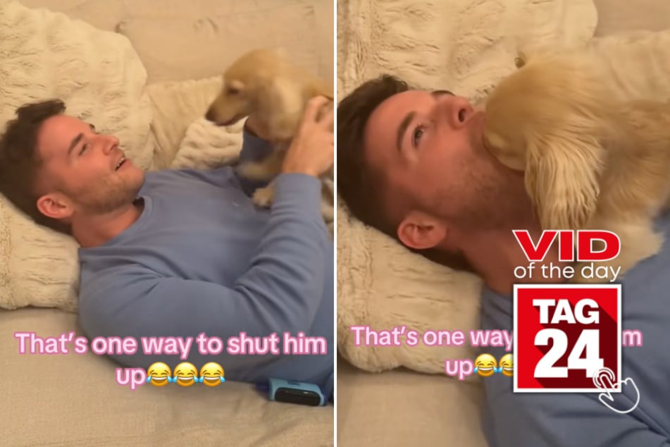 Viral Video of the Day for May 20, 2026: Puppy has hilarious way of "shutting up" his owner!