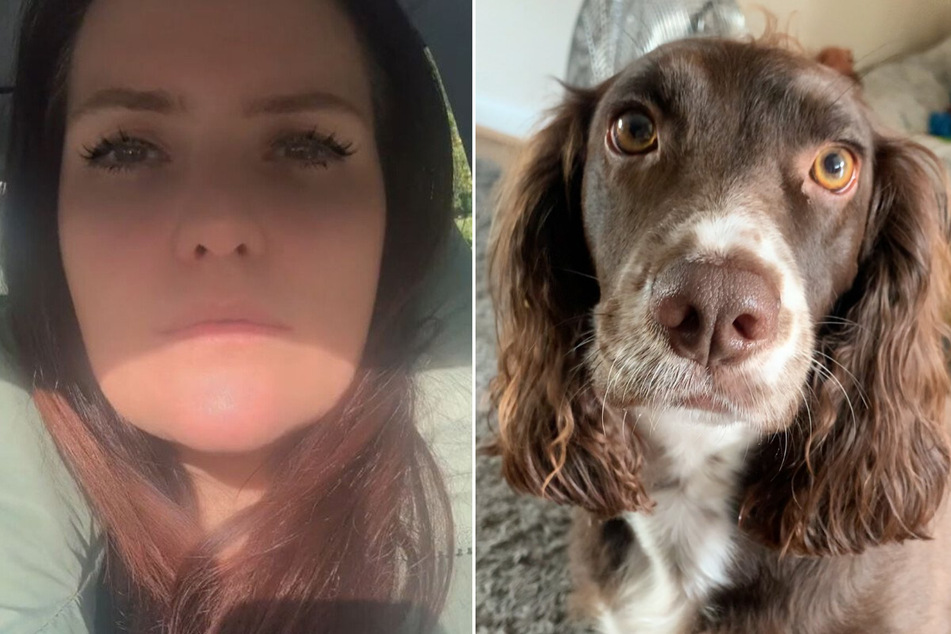 TikToker is heartbroken when she sees what her dog does at home alone