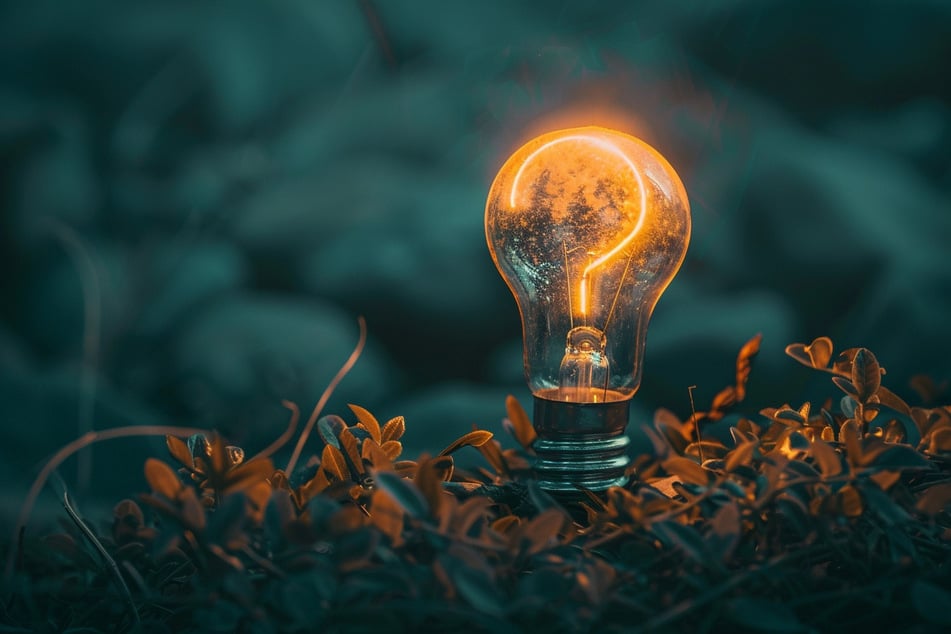 Quiz of the Day for July 29, 2025 – Test your knowledge!
