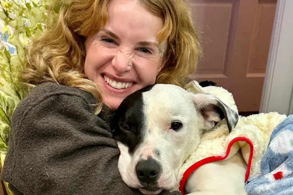 Rescuer Bailey didn't have the heart to put the dog down.