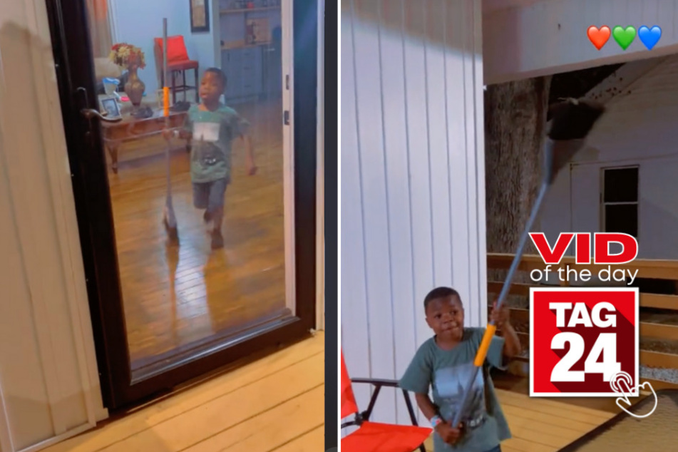 Viral Video of the Day for April 7, 2024: Son comes to mom's rescue after huge spider shows up uninvited!
