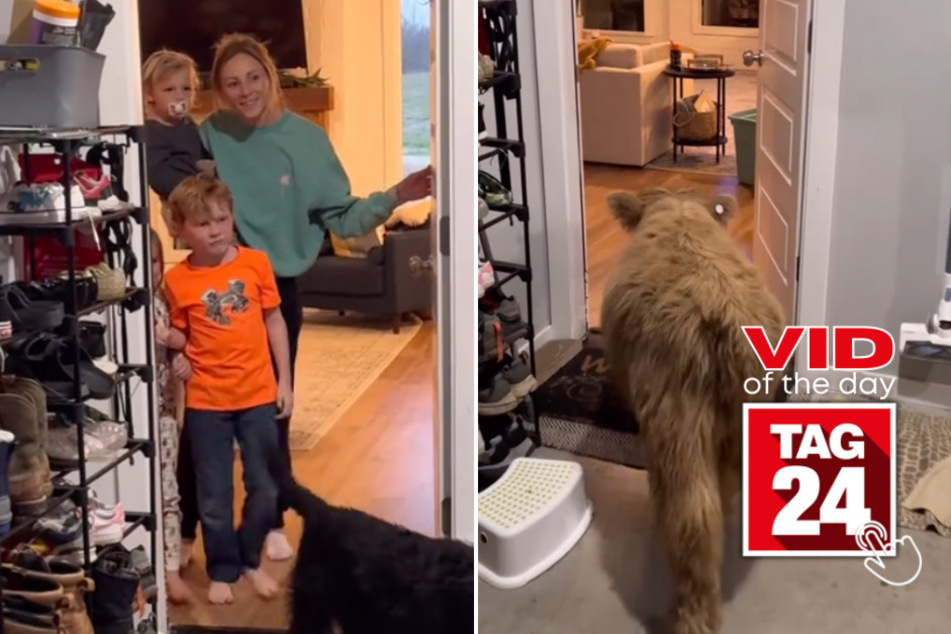 Viral Video of the Day for April 5, 2024: Man comes up with legen-dairy birthday present for wife!
