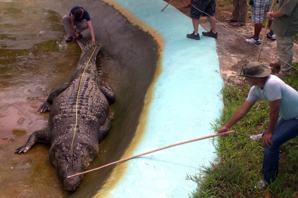 Crocodile expert revealed as serial killer of dogs as he admits to monstrous crimes