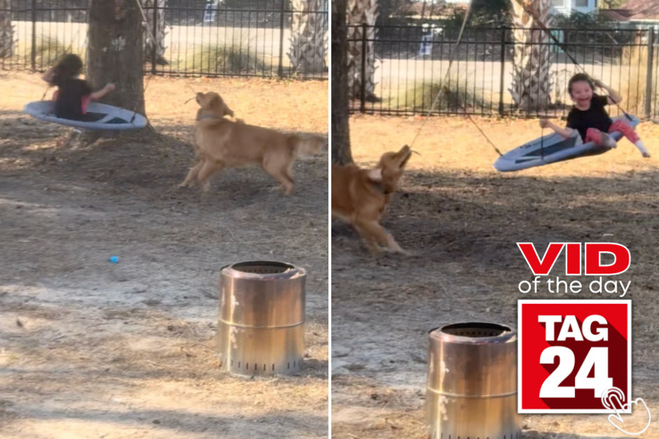 This toddler got the VIP treatment when her dog turned backyard playtime into the cutest ride ever!