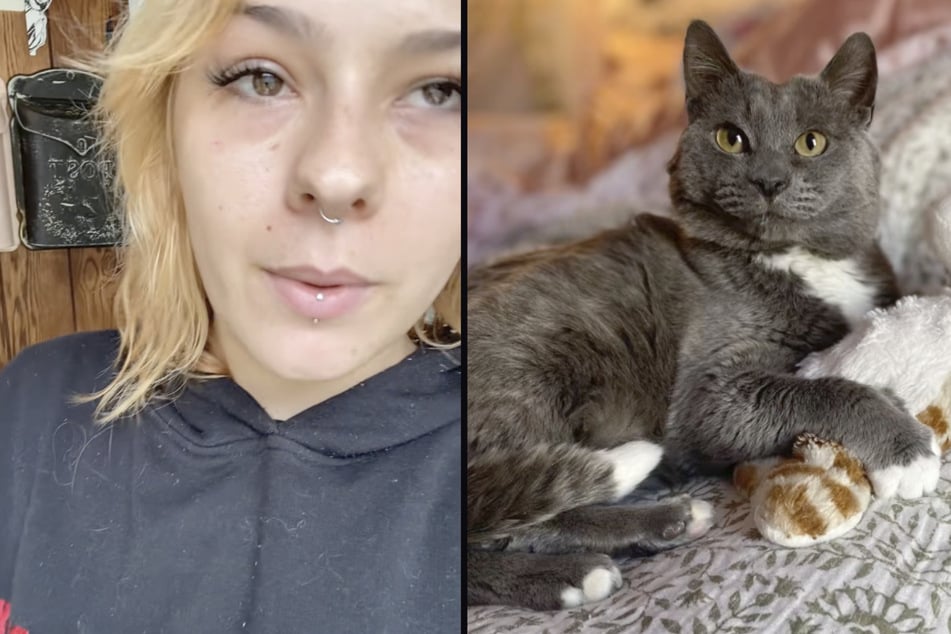 Three years later, Heather and her rescue cat Scrunkle are doing really well.