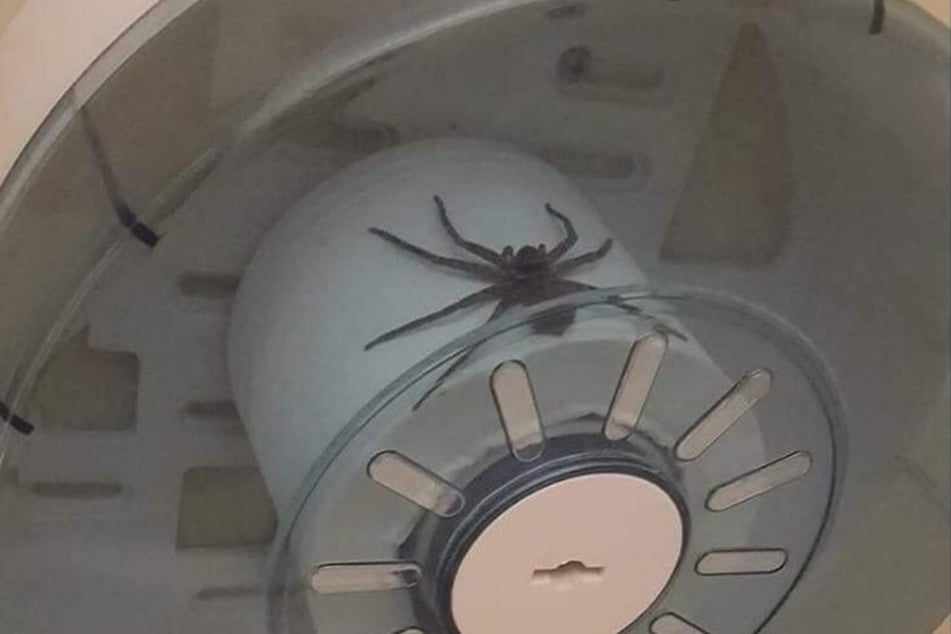 Under such circumstances, most people would probably go without toilet paper...