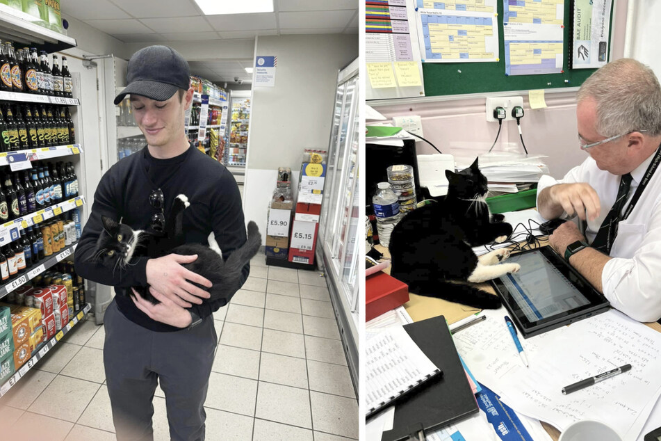 Mischief the cat is anything but shy, and he's always willing to hang out with the locals.
