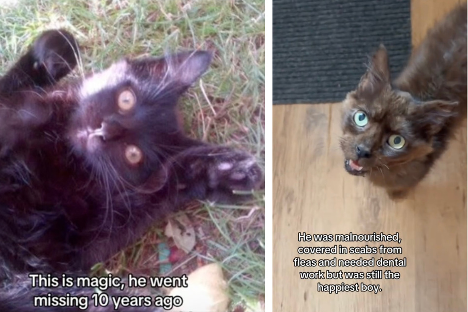 Magic disappeared about 10 years ago, but his family never stopped looking.