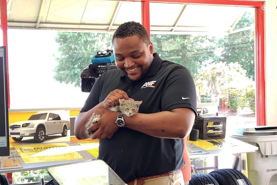 In a car workshop, the animal was finally rescued – the rescuers were overjoyed.