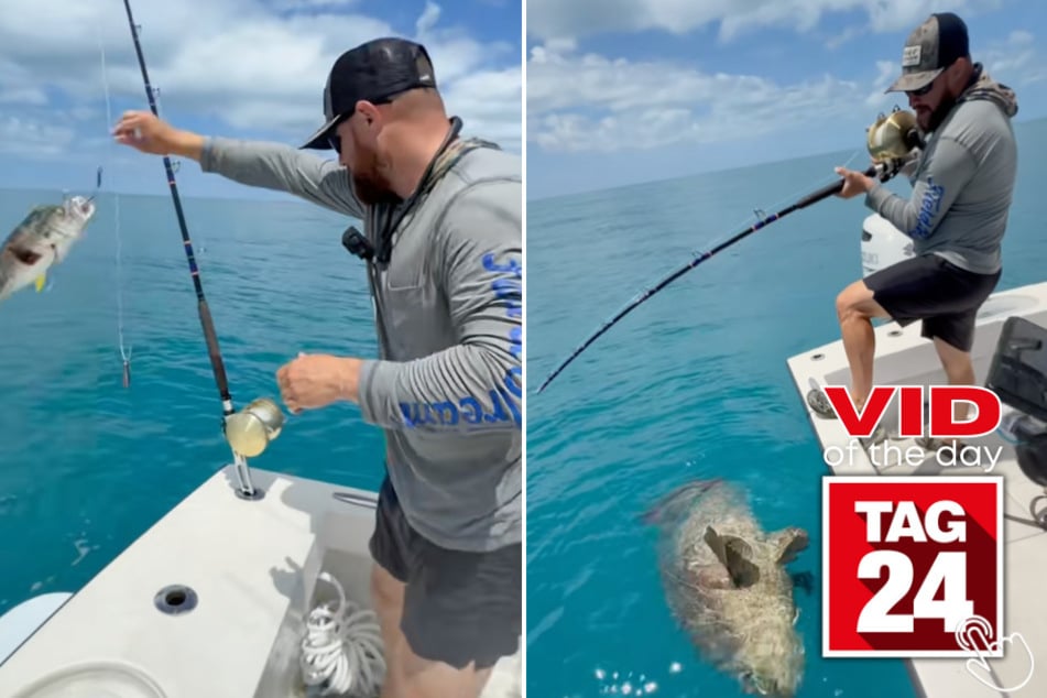 This fisherman dropped a giant bait fish into the ocean and ended up reeling in a roughly 500-pound grouper!