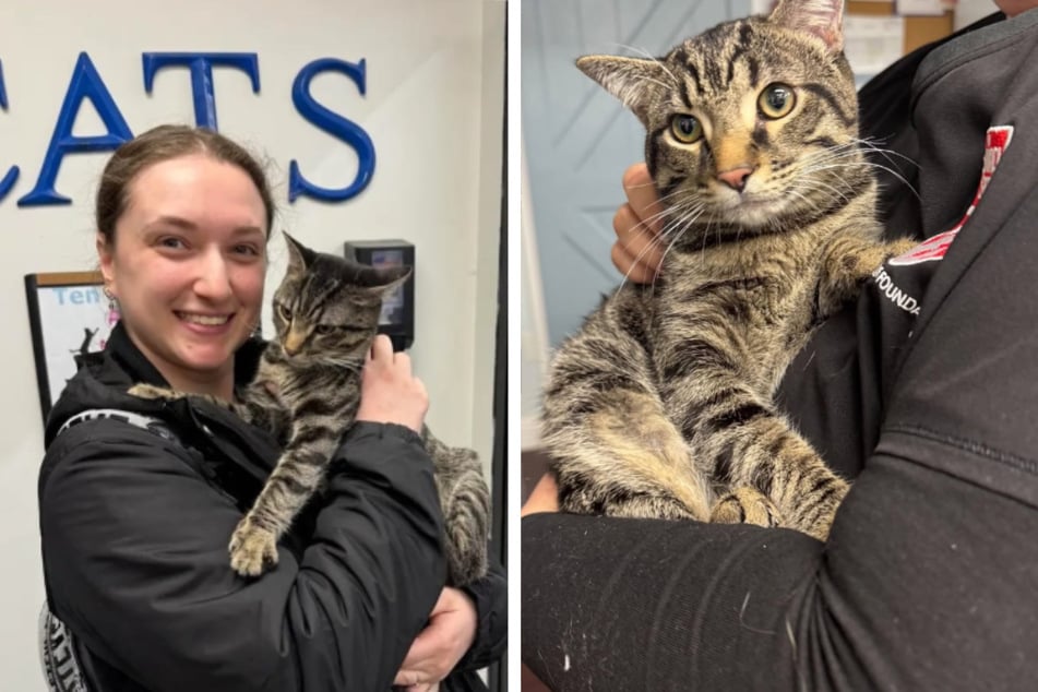 Cat is left outside animal shelter with note, but things are not all they appear: "It's not safe for him"