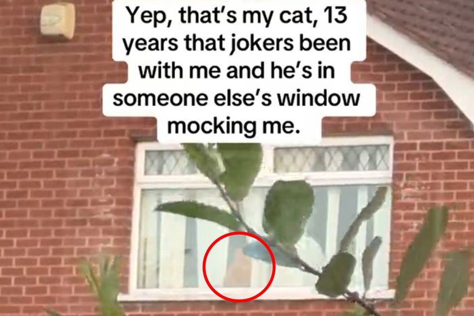 Malachy McCrudden's neighbors told him that his feline sneaks in and hangs out when their window is open.