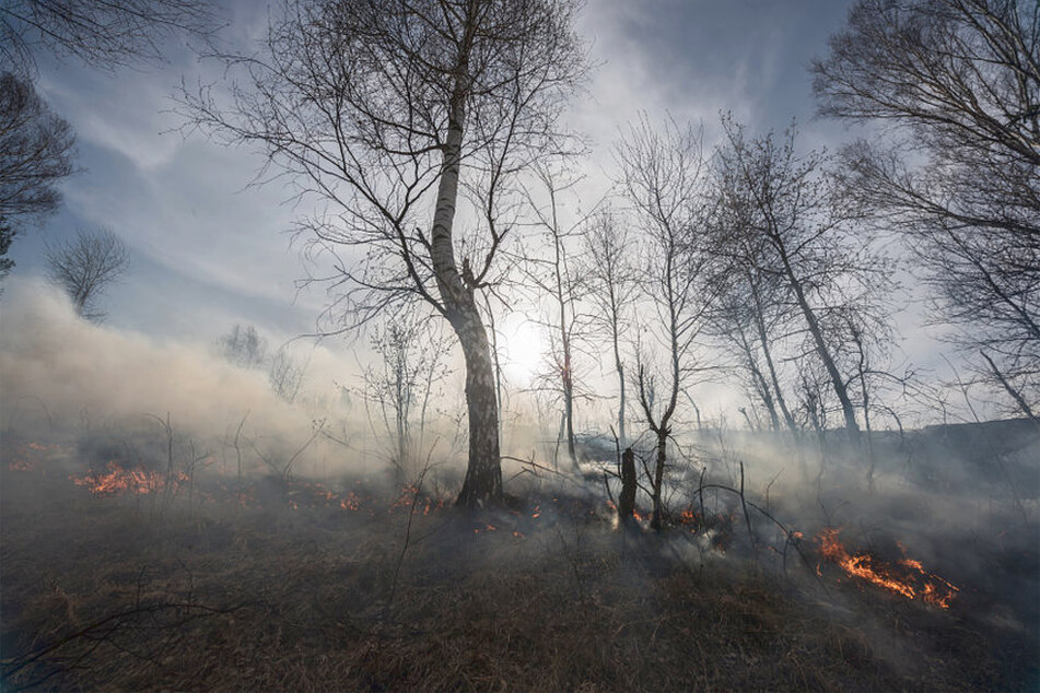 Climate report warns that countries' pledges aren't enough even in best-case scenario