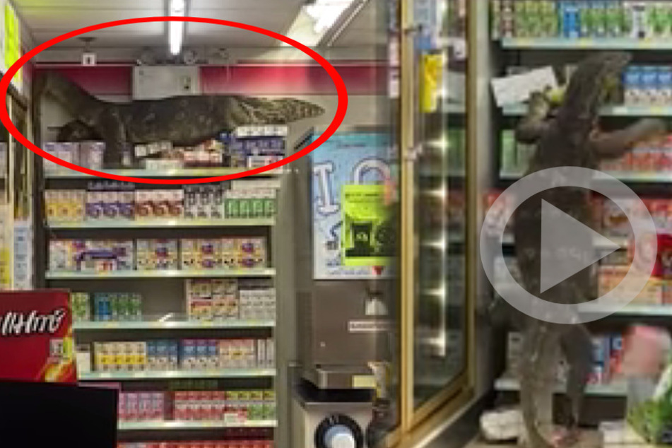 Godzilla shopping at a 7-Eleven: Incredible footage of giant lizard goes viral