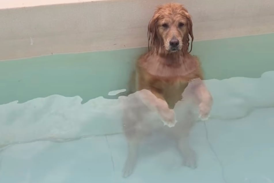 Noeul has found a way to stand relaxed in the pool.