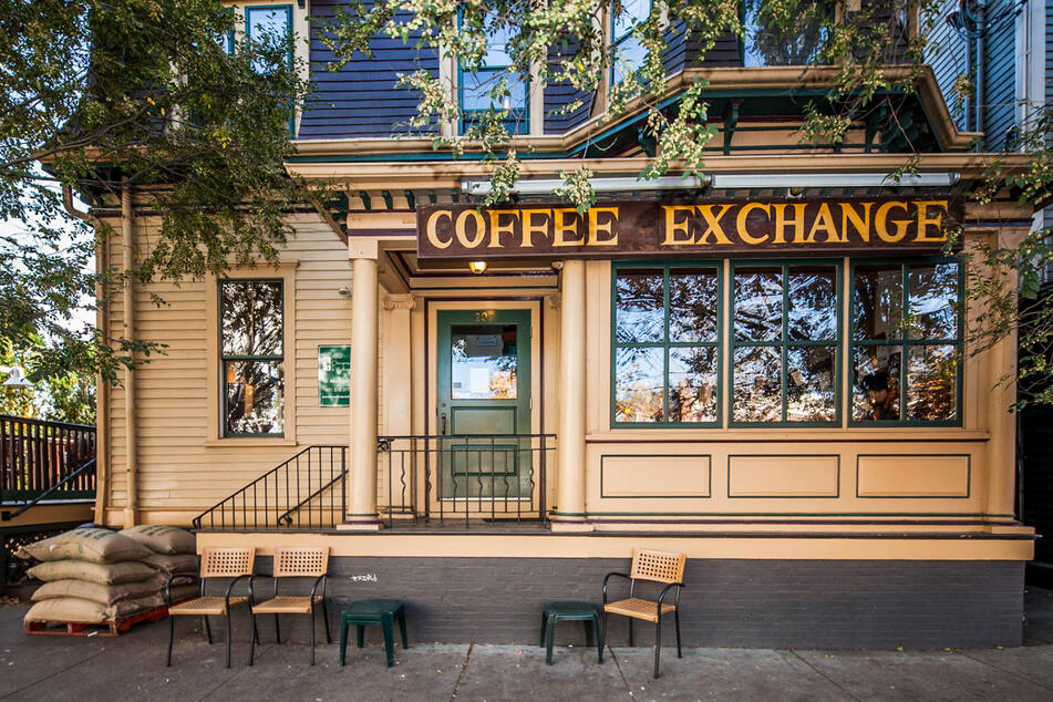 Hawk flies through coffee shop window, havoc ensues!