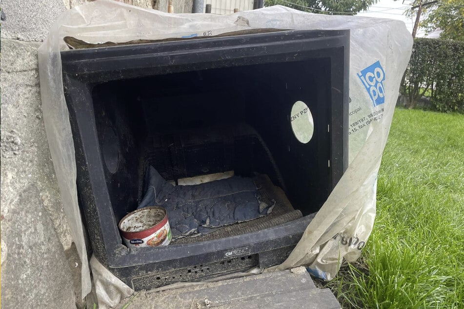The little dog had to live in this old and broken TV set.