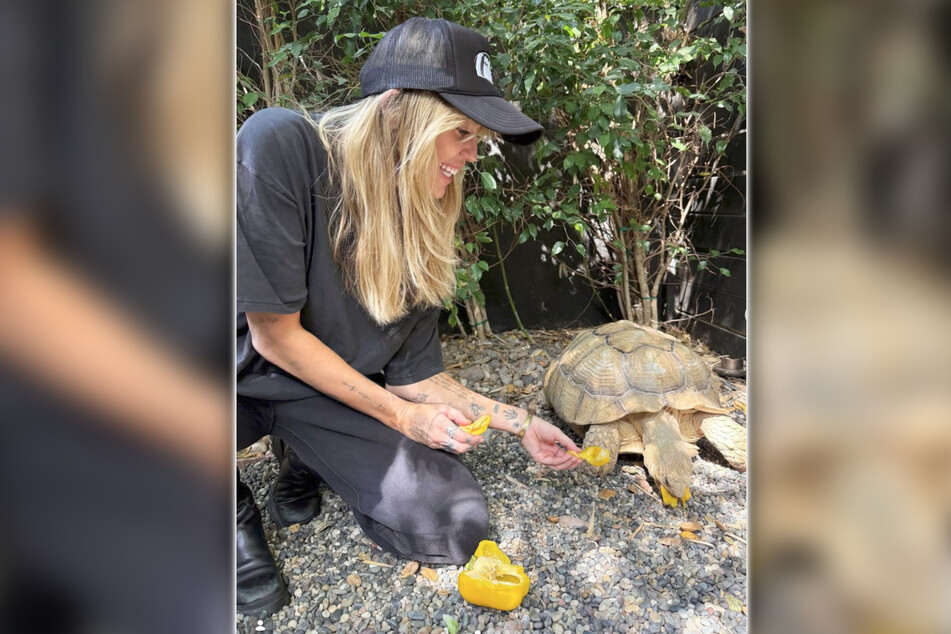 Miley Cyrus adopted a 20‑year‑old tortoise named Teru.
