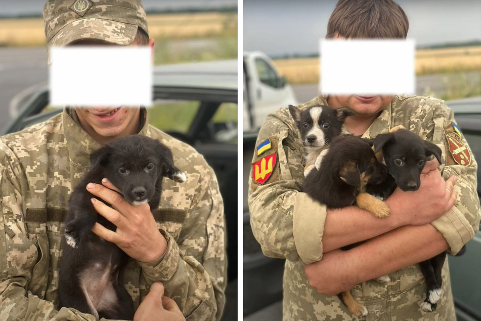 The soldiers were shown with their faces blurred to protect their identity, but they gave lots of love to one group of puppies.