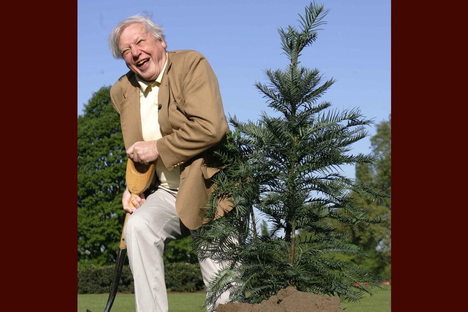 David Attenborough says,"We are, after all, the greatest problem-solvers to have ever existed on Earth."
