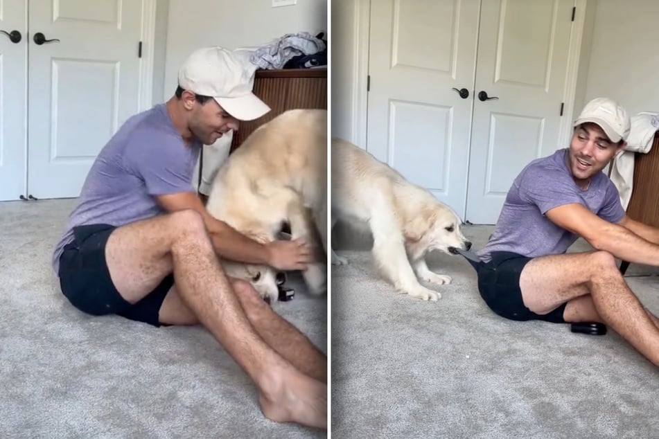 This dog owner can't afford to do the same prank again as one of his dogs grabbed the machine, and then his pants! 