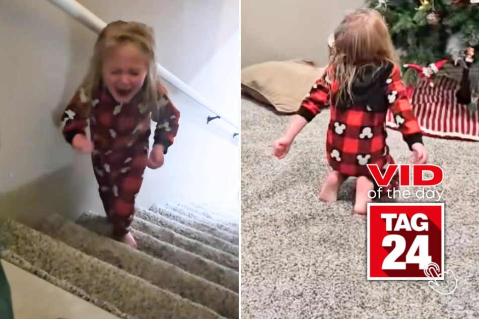 Viral Video of the Day for December 4, 2025: Little girl has epic meltdown over Elf on the Shelf