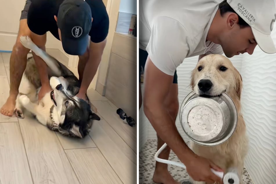 Man goes viral after sharing his dogs' wildly different reactions to bath time!