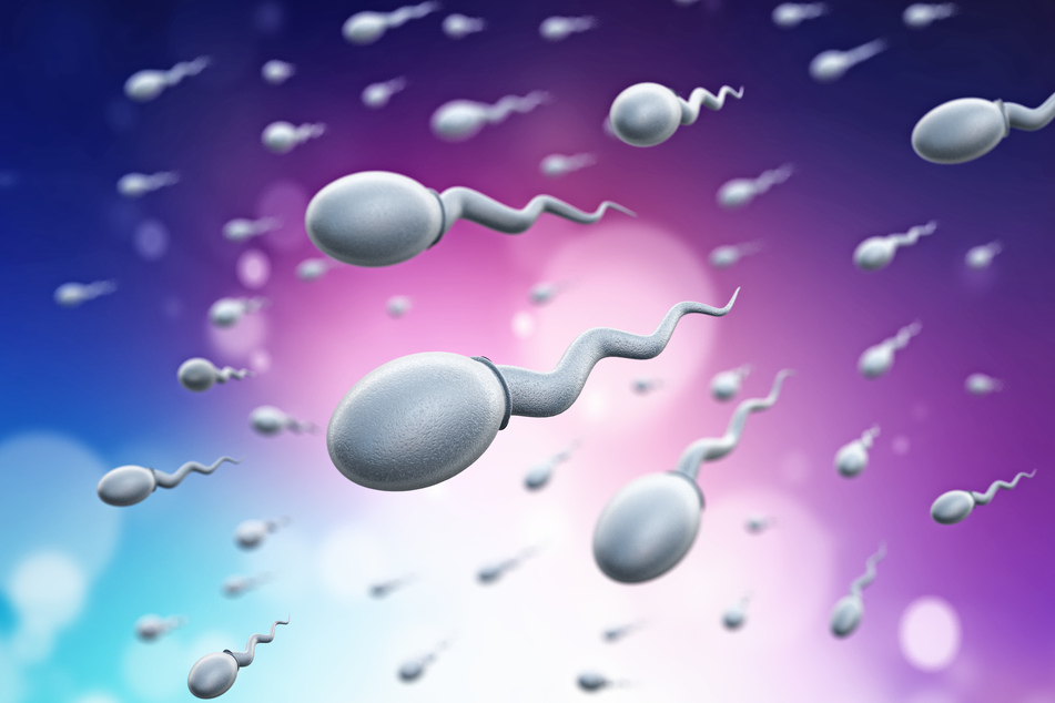 Researchers at Weill Cornell Medicine in New York are testing a new male contraceptive pill on mice that has been yielding very promising results.