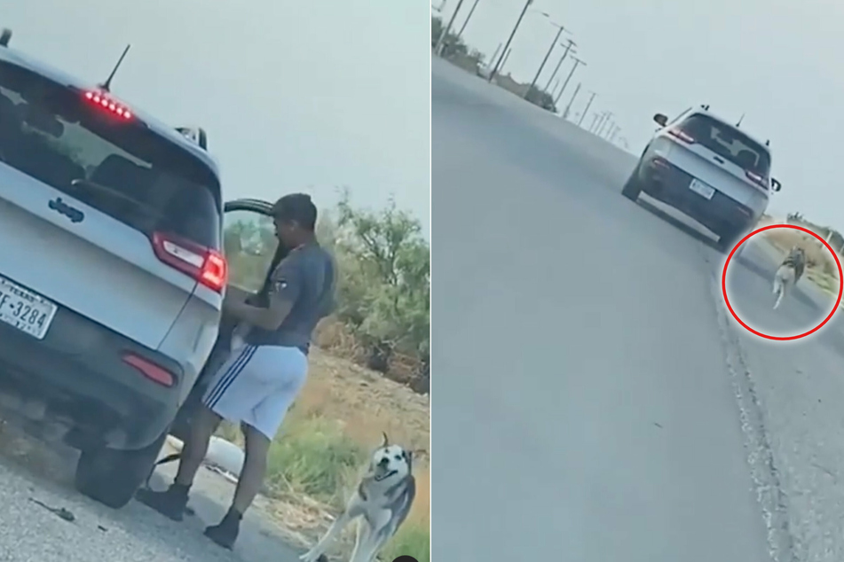 El Paso man arrested after Instagram user records him heartlessly abandoning a husky
