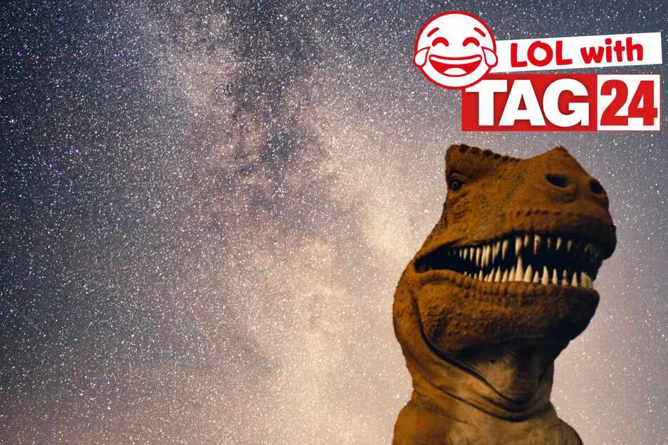 Joke of the Day for March 26, 2025: Dino-mite animal jokes to make your laughs rawr!