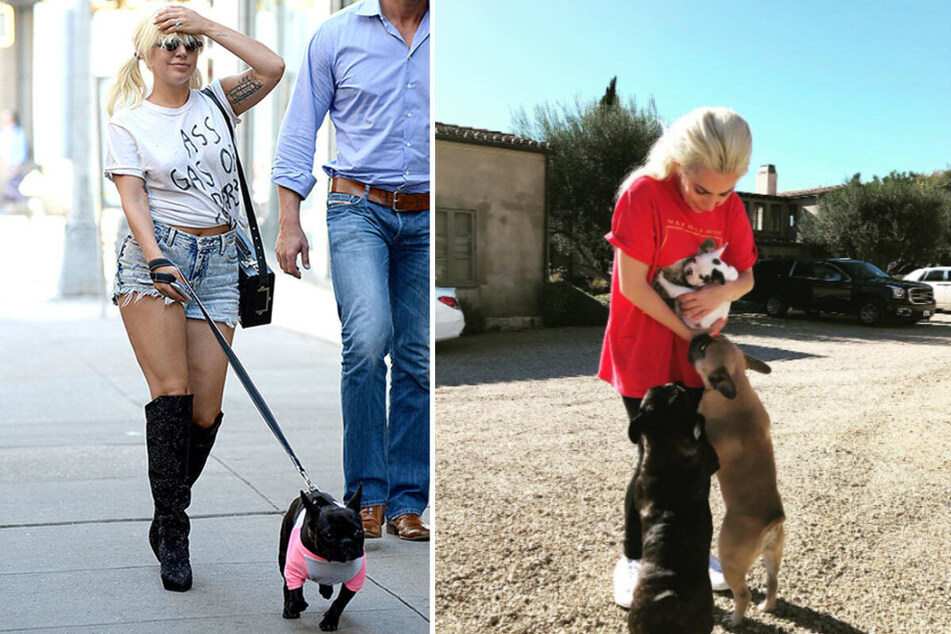 Horrific video shows Lady Gaga's dog walker being shot as gunmen steal her pets