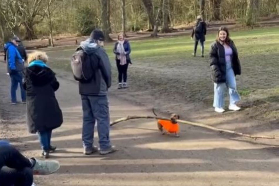 Bosco sometimes gets applause from pedestrians for his efforts.