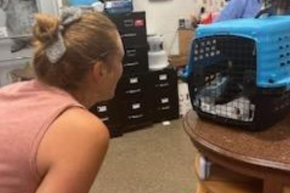 Mr. Mojo's microchip lead the animal shelter workers to Erin.
