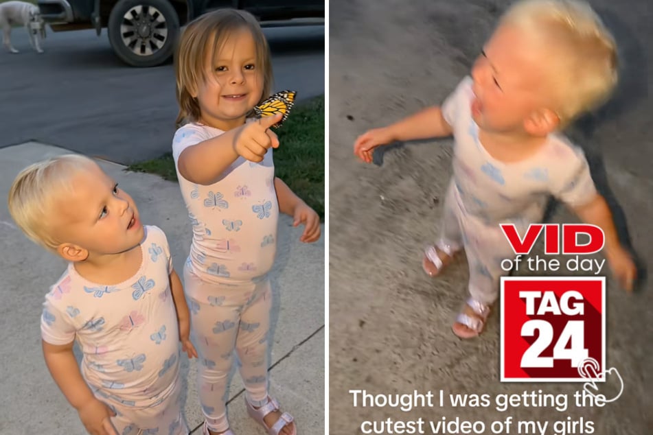 Viral Video of the Day for August 23, 2026: Butterfly release takes hilariously disastrous turn for two little girls