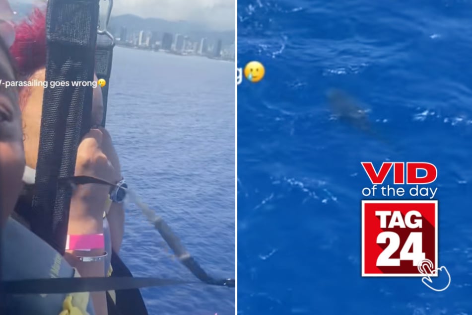 Viral Video of the Day for May 25, 2026: Parasailing goes wrong after girls spot massive shark beneath them!