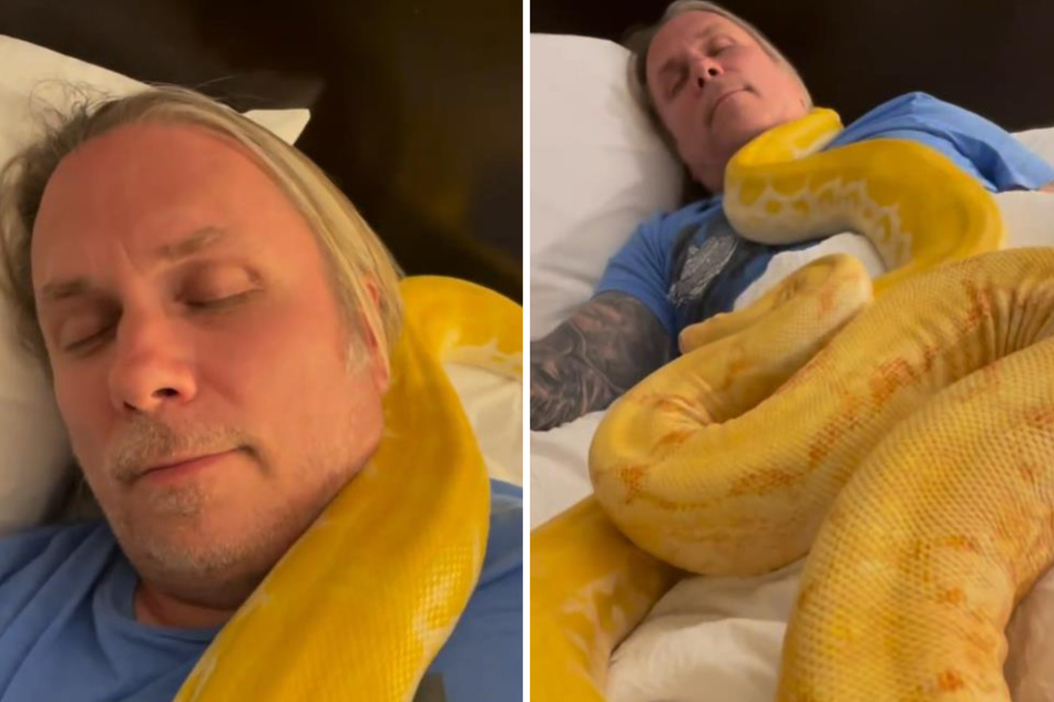 Sssss-weet dreams: Man curls up in bed with two giant snakes in terrifying video