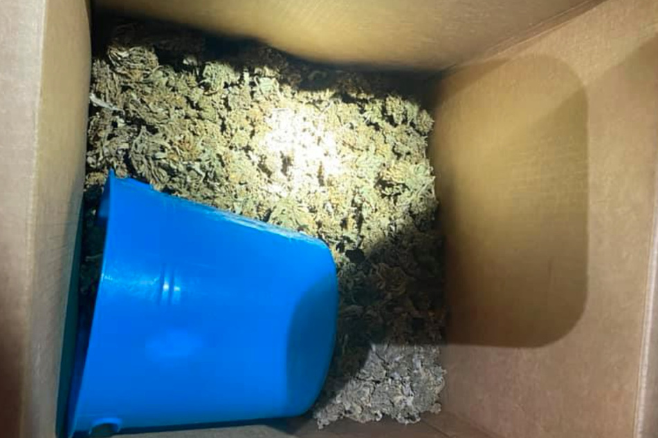 This fridge is baked: Texas police find huge weed stash in very strange place