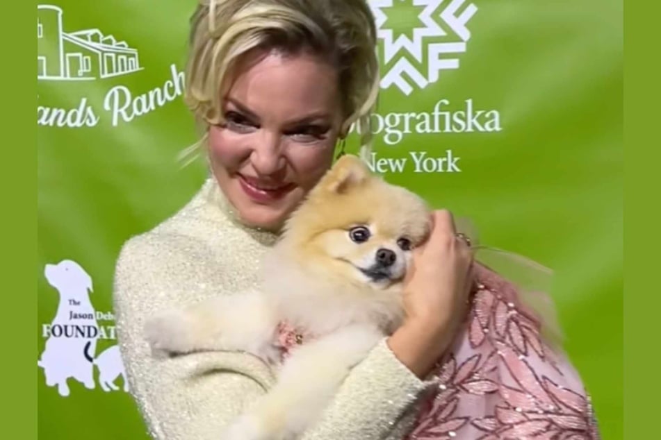 Emmy-winning actor Katherine Heigl attended the official opening of Best in Show at Fotografiska in New York City on behalf of her pet nutrition brand, Badlands Ranch.