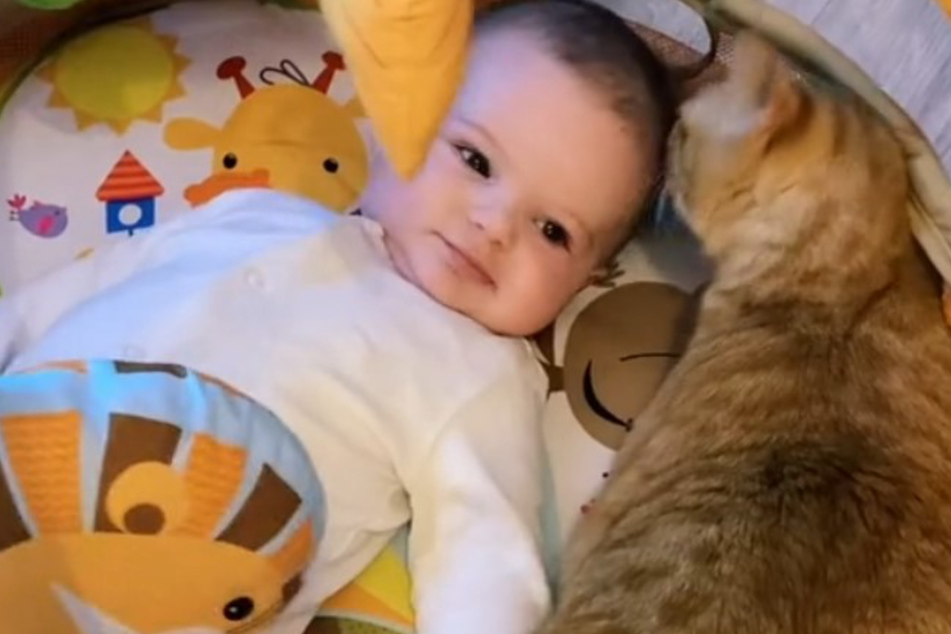 Theo and Simba the cat have been inseparable since day one.