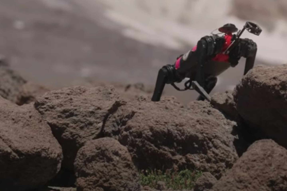 NASA sends robot dogs to the moon: All about the LASSIE project