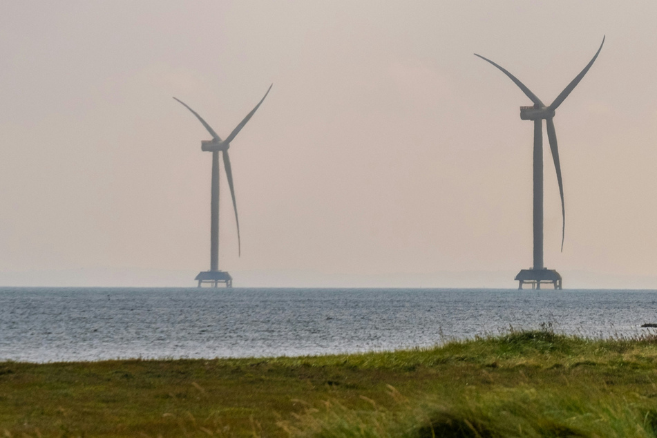Trump sets up clash with New York governor after cancelling major wind farm project