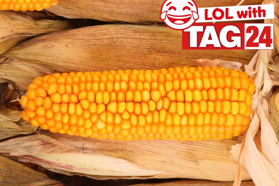 Joke of the Night for April 14, 2025: A corny joke to get your funny on