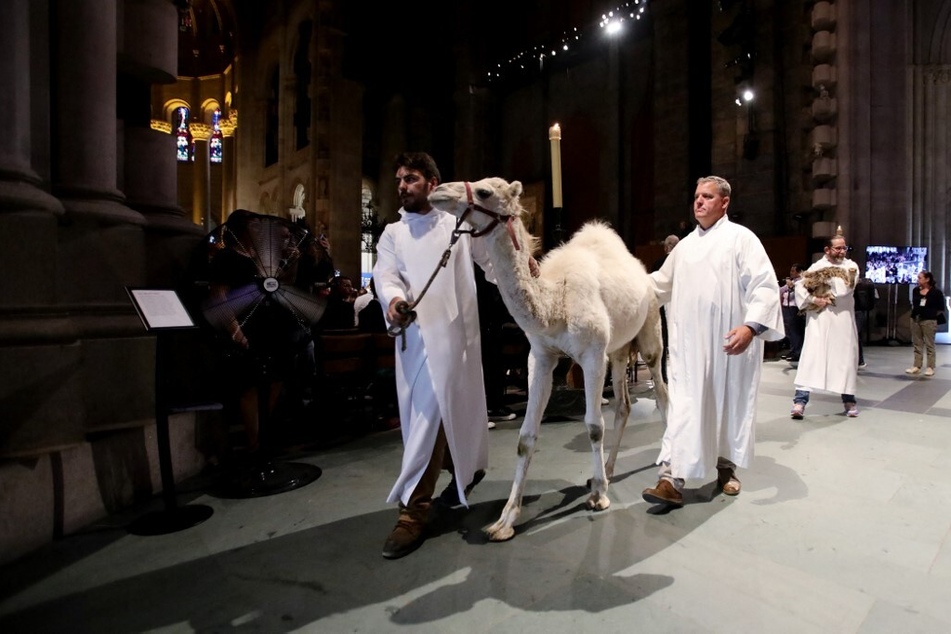 A camel walks down the aisle during the Procession of Animals at the St. Francis Day Service at the Cathedral of St. John the Divine in New York City on October 1, 2023.