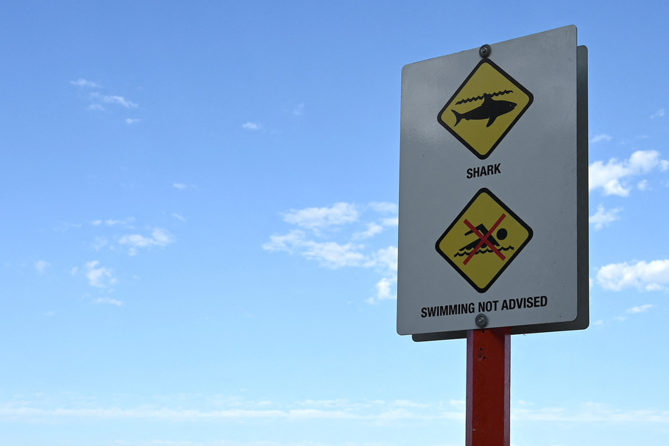 Shark mauls woman in rare Sydney Harbor attack